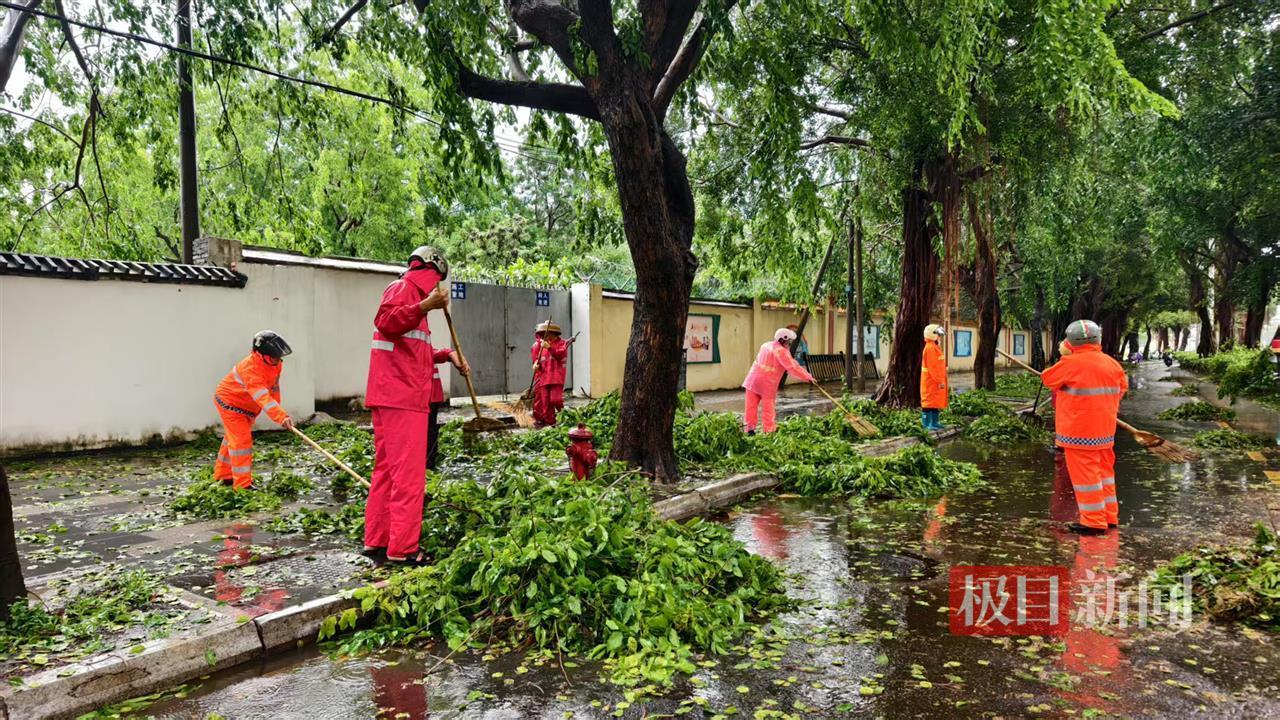 工作人员冒雨清理断枝 极目新闻记者摄.jpg