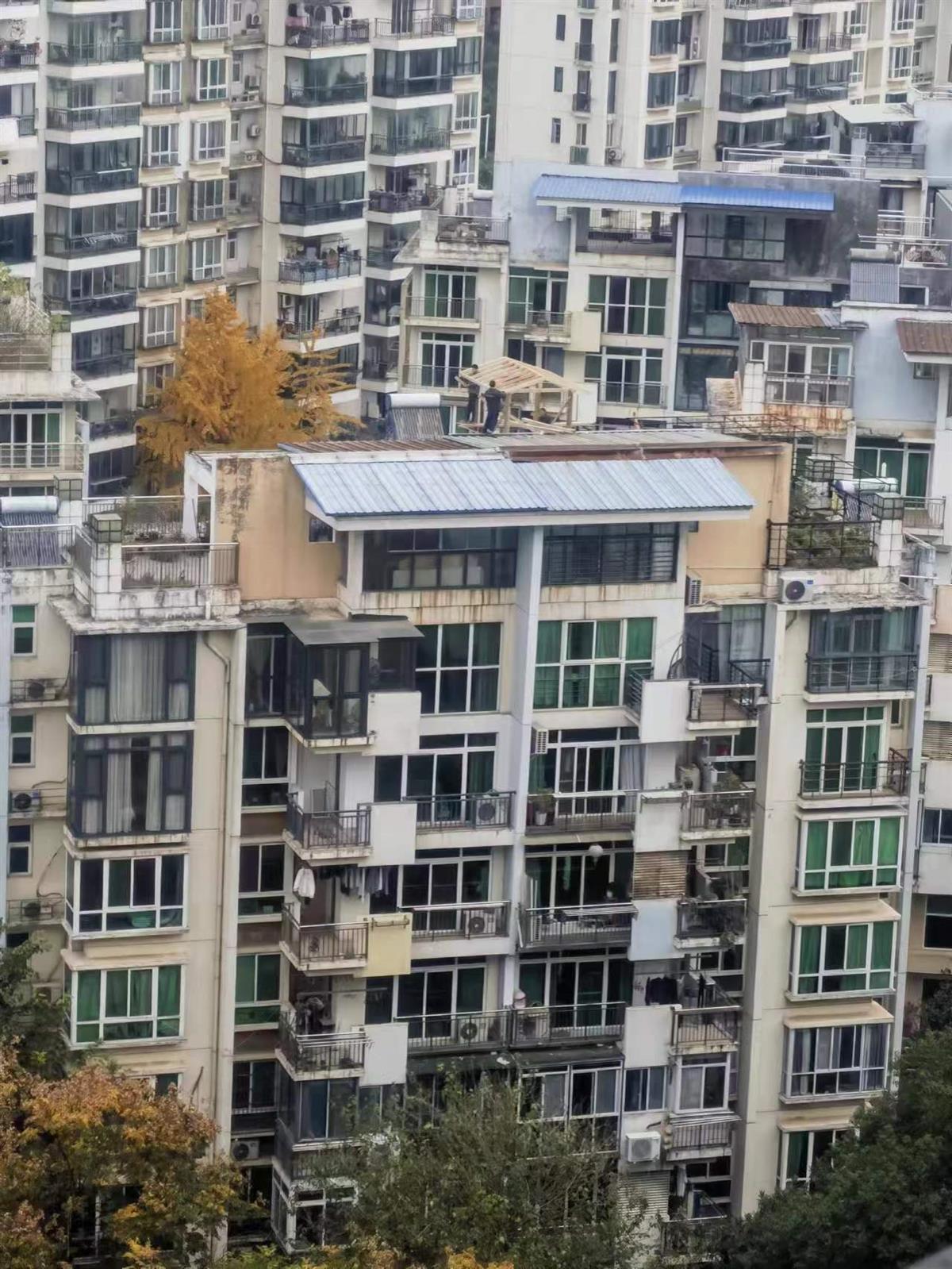 业主楼顶违建木质茶室，综合执法队员徒手拆除 | 极目新闻