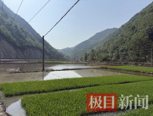 驻村.png