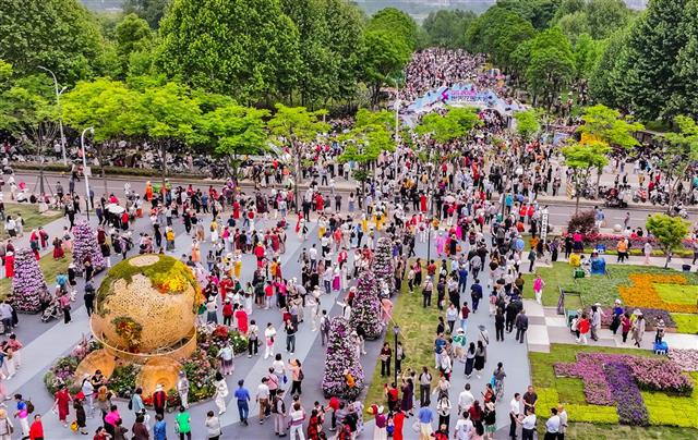 人潮奔赴花海，拍拍拍买买买！超5万人挤爆武汉世界花园大会