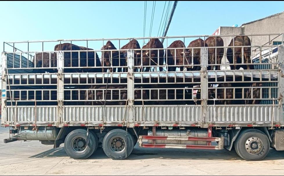 微信图片_20260120221234_138_14.png 微信图片_20260120221234_138_14.png