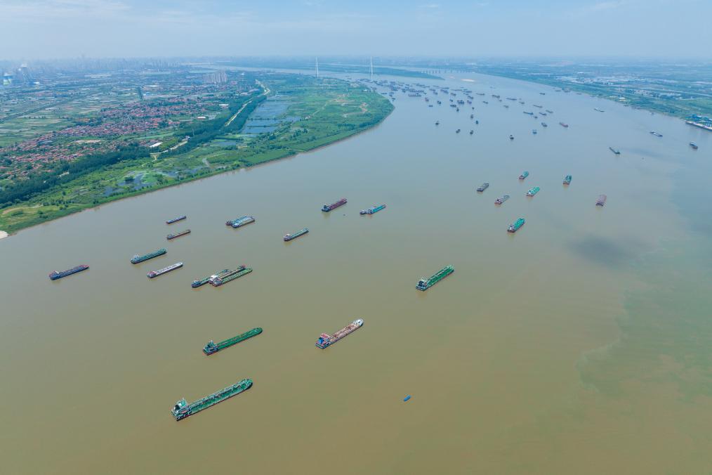 新时代中国调研行·长江篇丨武汉阳逻港:集装箱吞吐量持续攀升 科技