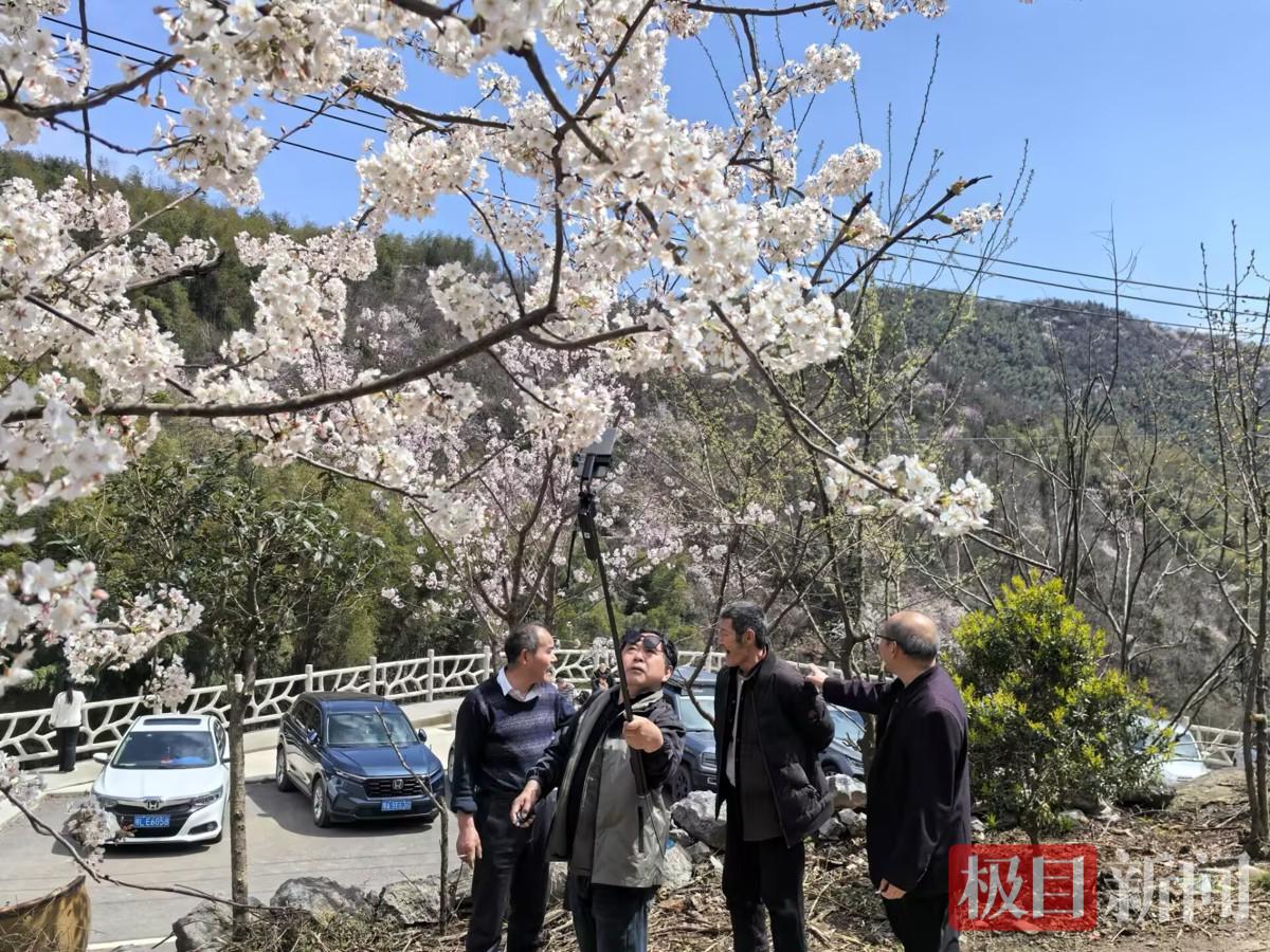 F9972C93C446F19447D2F69B444C09DC.jpg F9972C93C446F19447D2F69B444C09DC.jpg