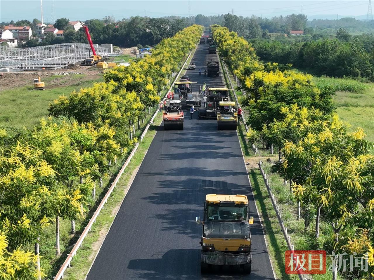 WechatIMG294.jpg WechatIMG294.jpg