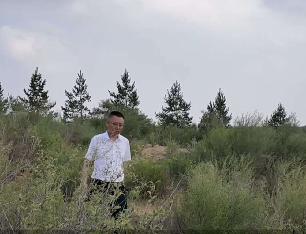 张应龙：科学治沙蹚新路 绿色浸染毛乌素 | 极目新闻