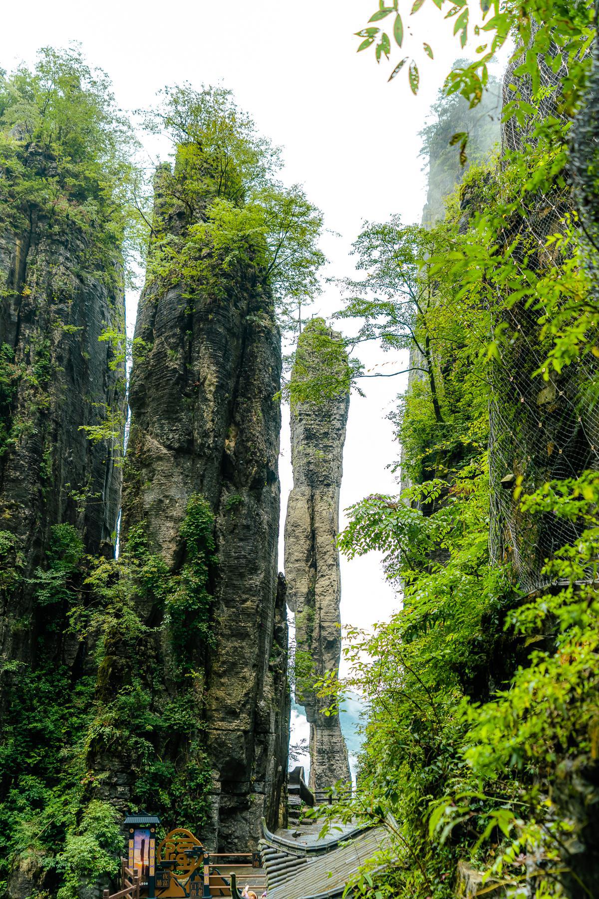 恩施大峡谷.png