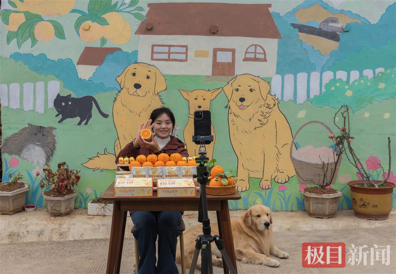 1”毛毛妈“正在直播带货脐橙.jpg