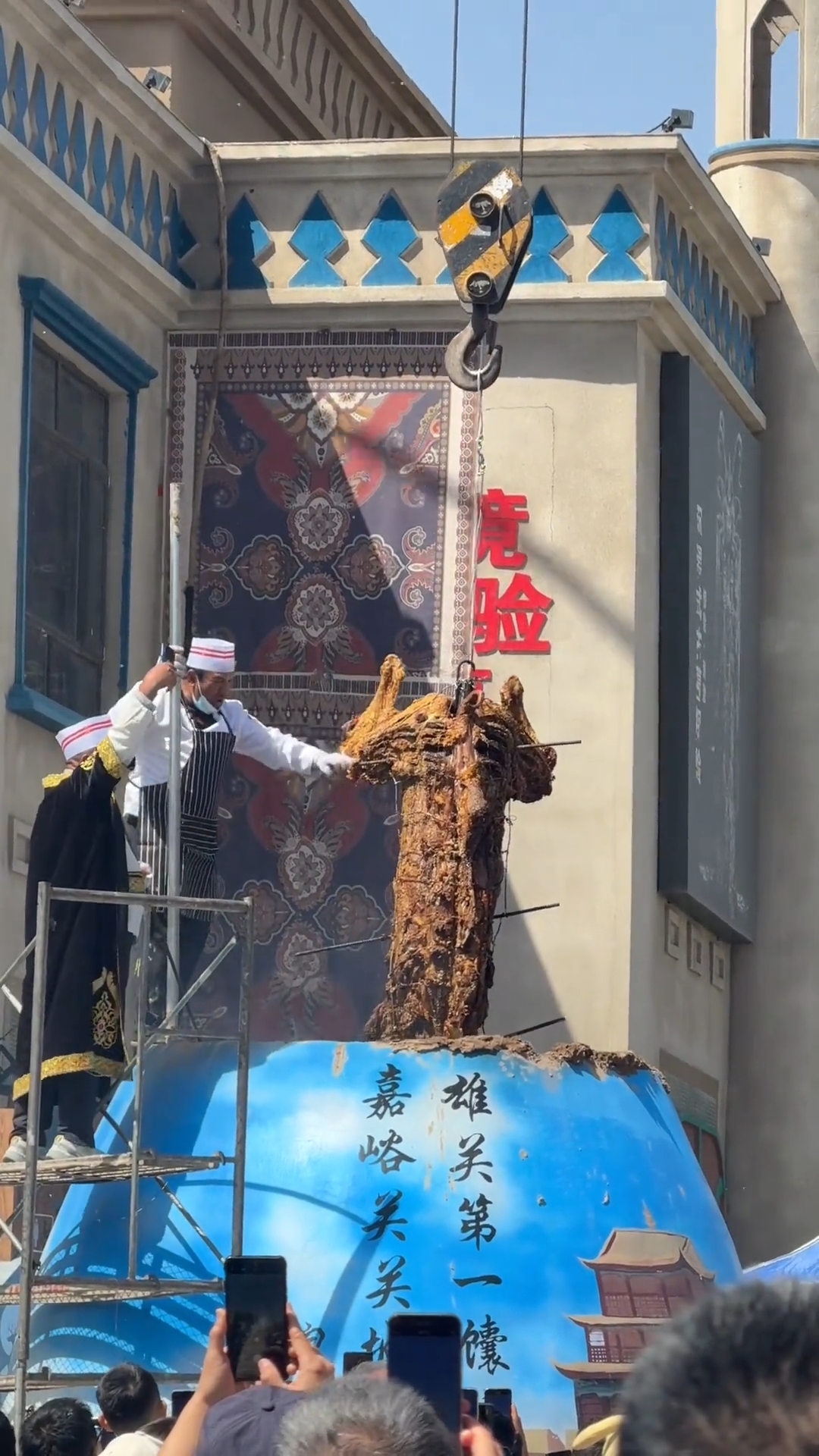 微信图片_20260502122716_1153_69.jpg