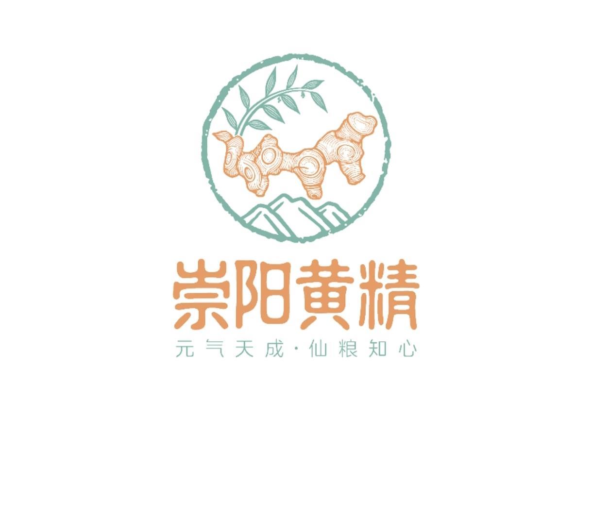 崇阳黄精公共品牌正式对外发布，业内专家建言献策助力黄精产业发展 | 极目新闻