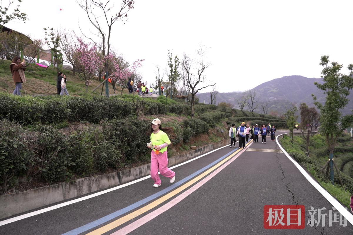 选手在茶园里徒步.JPG 选手在茶园里徒步.JPG