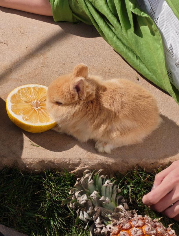 图片16.png 图片16.png