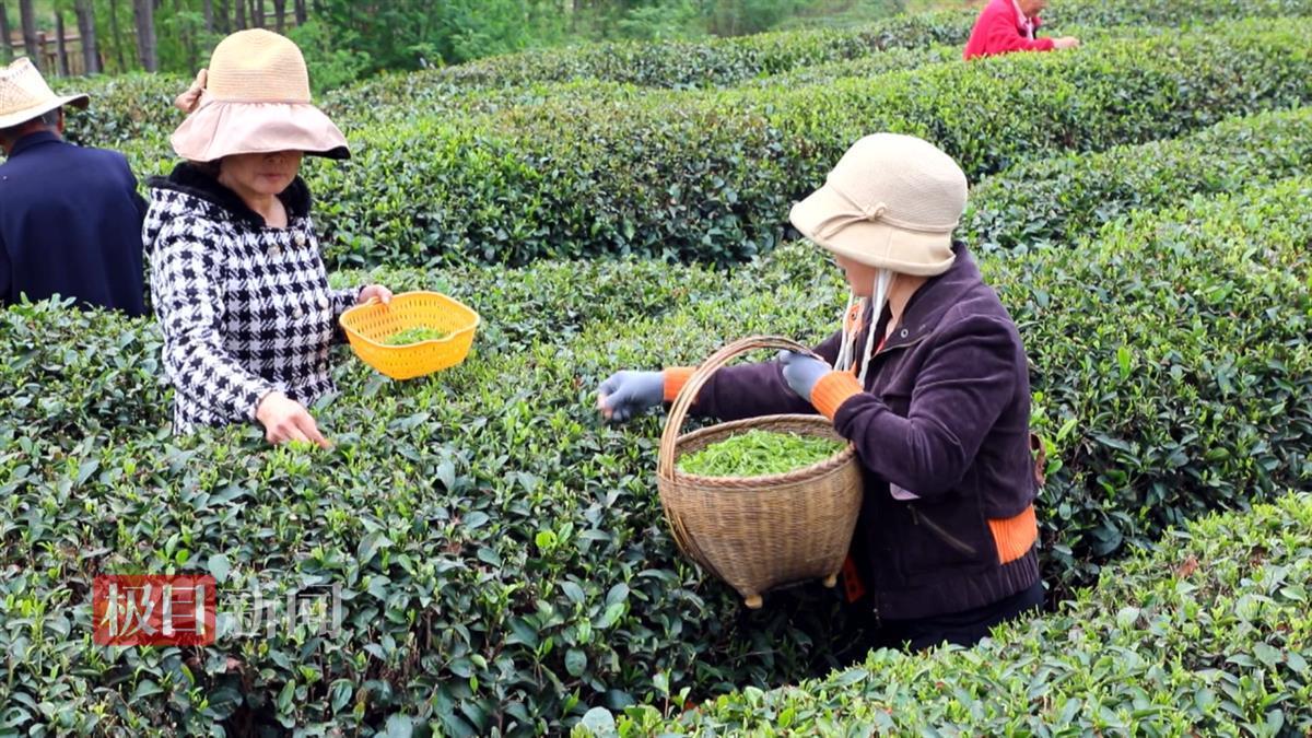 图片8.png 图片8.png