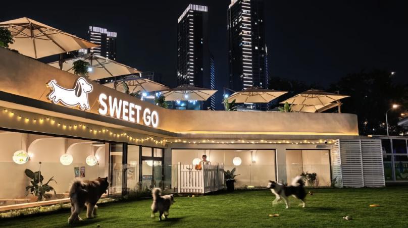 图片12.png 图片12.png