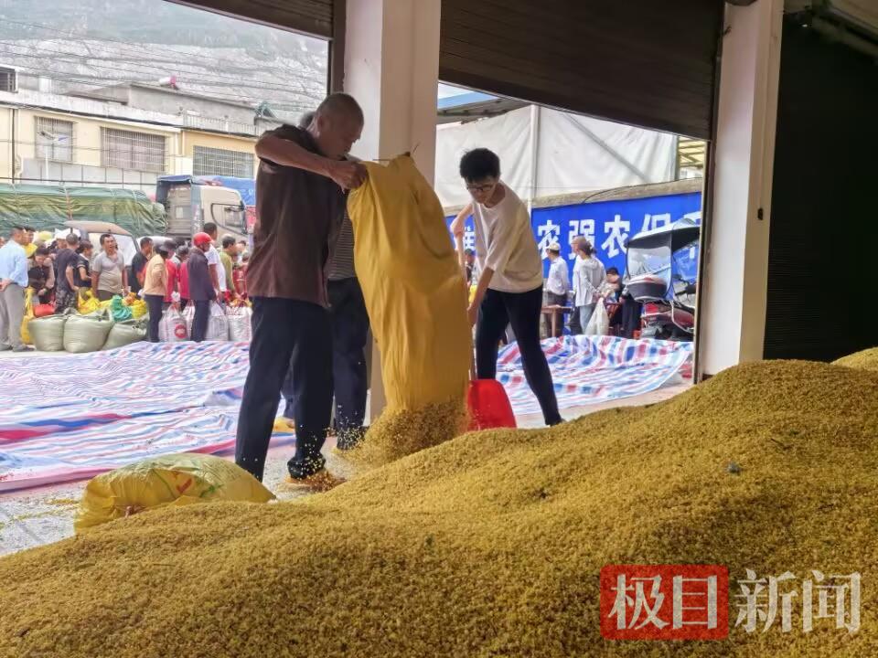 9C0A4C1266F1A77C1C786B381DFCA2A4.jpg 9C0A4C1266F1A77C1C786B381DFCA2A4.jpg