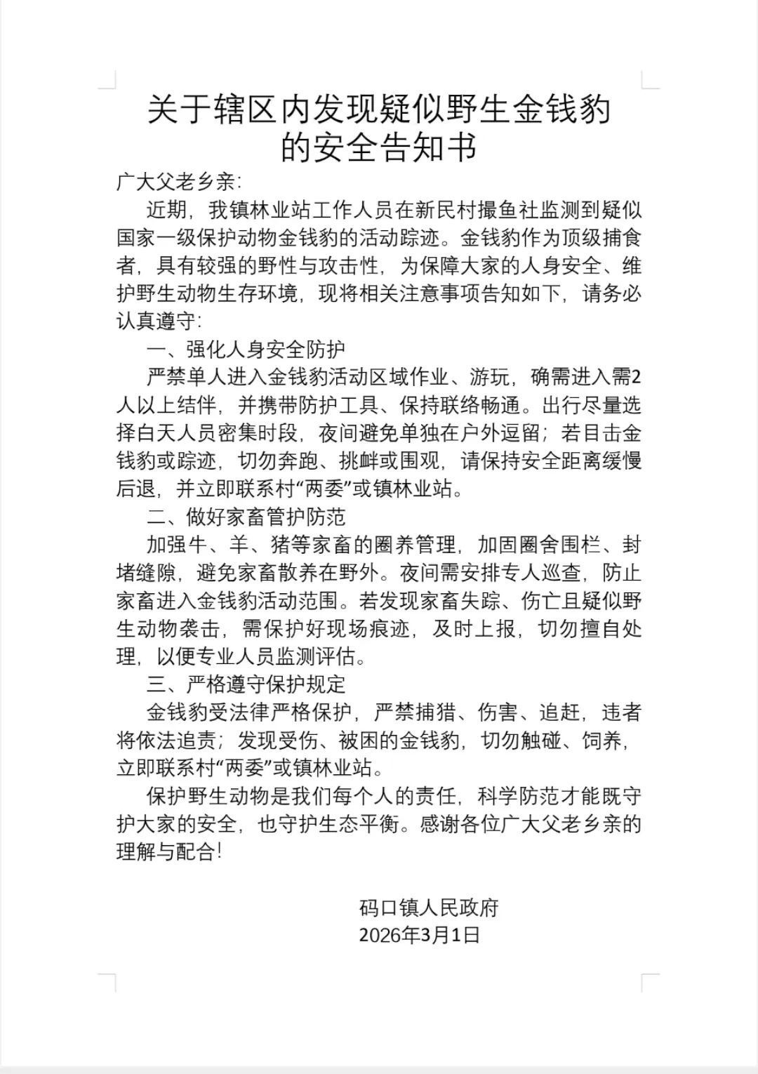 3333333.jpg 3333333.jpg