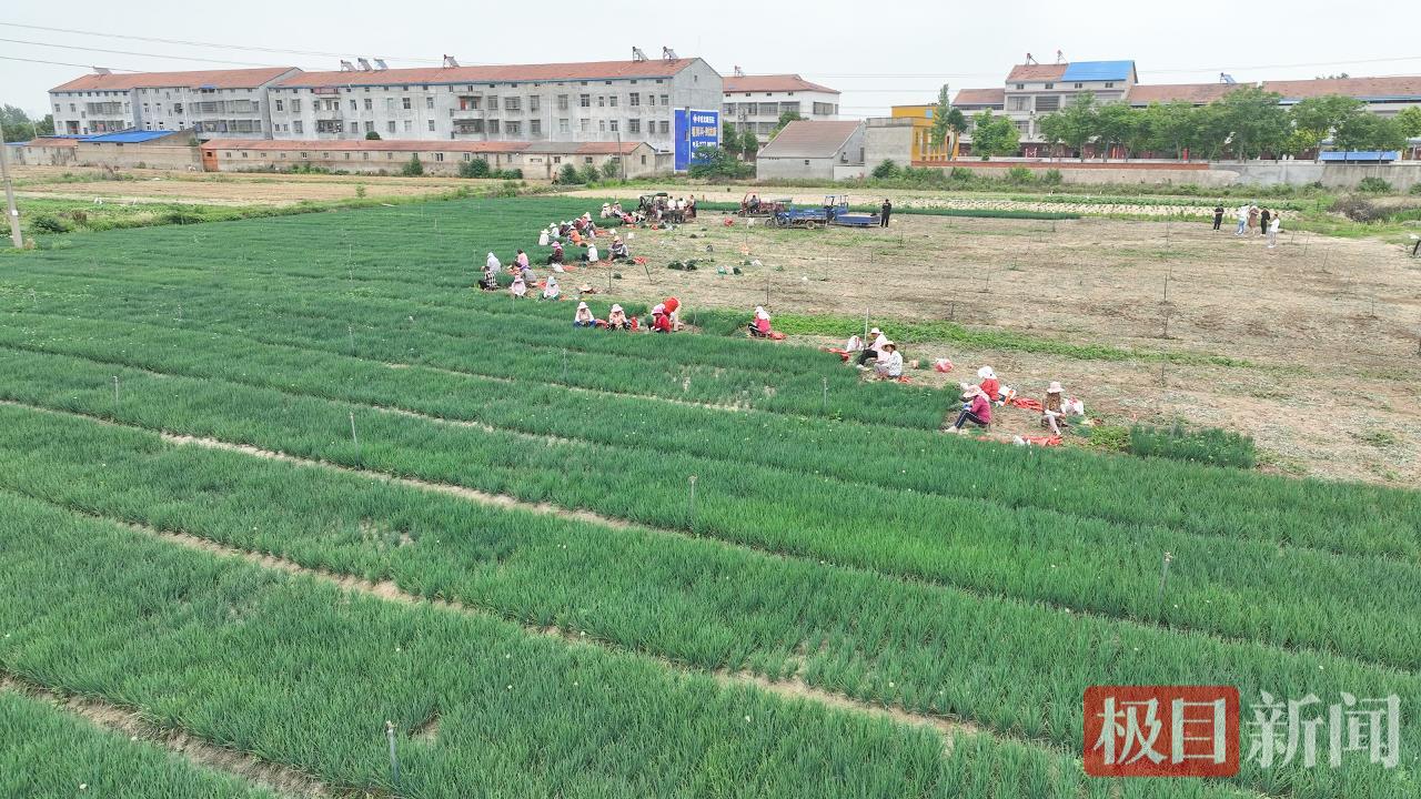 微信图片_20250523154706.png 微信图片_20250523154706.png