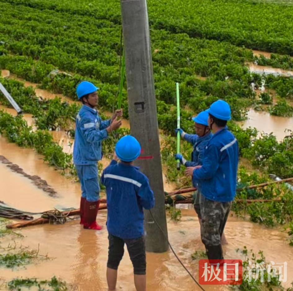 扶正加固电线杆 极目新闻记者摄.jpg