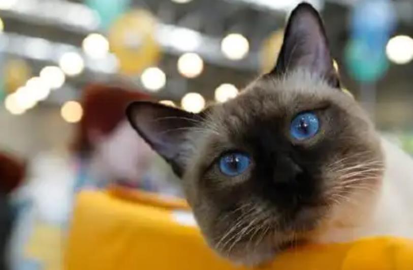 7586aa66-f34f-4a26-a84d-3fb032c3a3a5.png 7586aa66-f34f-4a26-a84d-3fb032c3a3a5.png