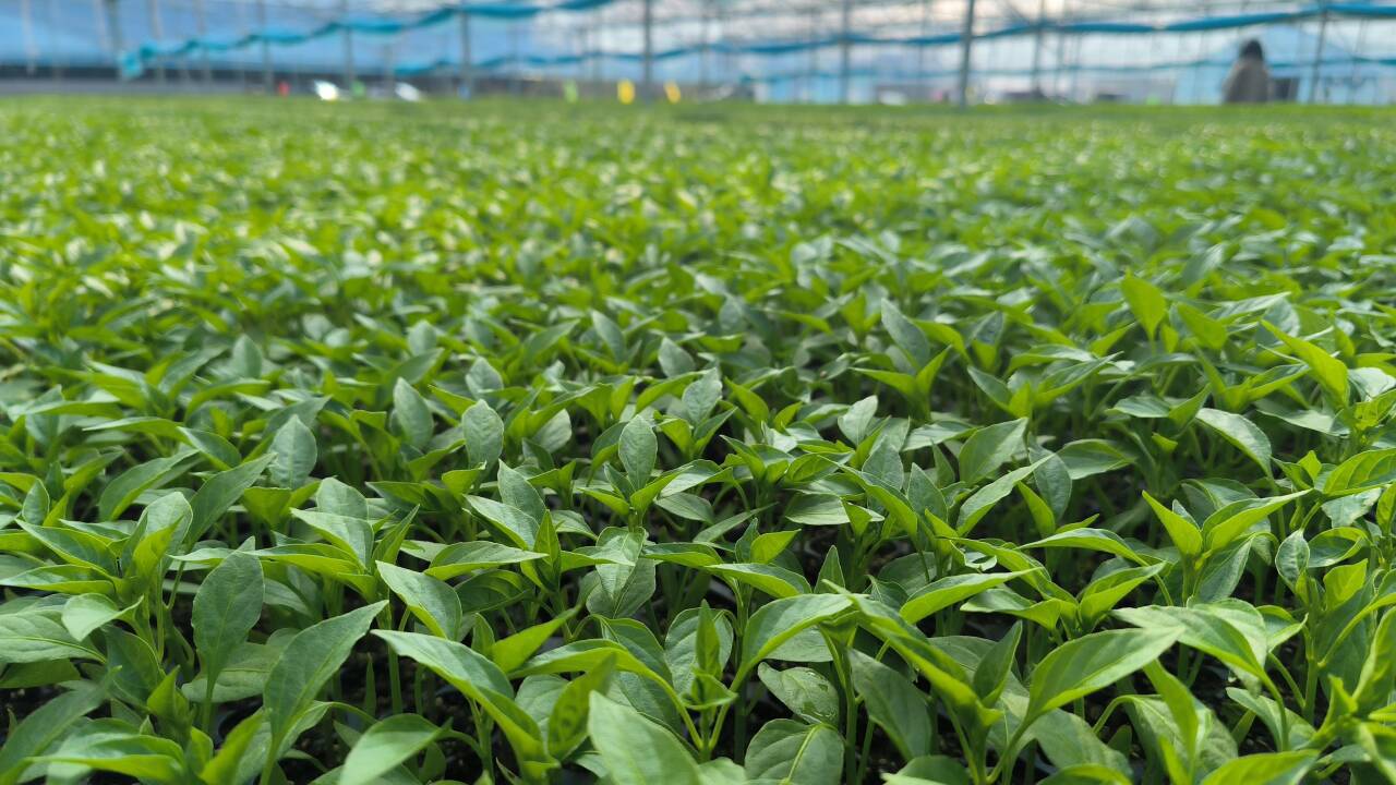 cec8744b534cd844cb91886fbc24bea3.jpg cec8744b534cd844cb91886fbc24bea3.jpg