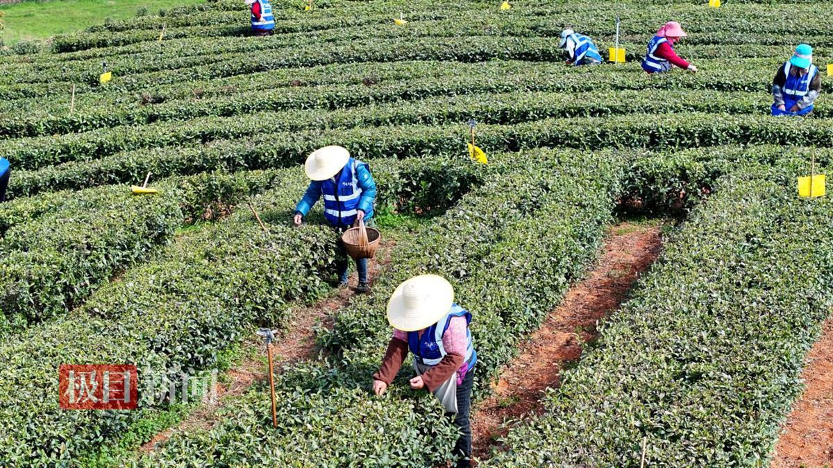 图片5.png 图片5.png