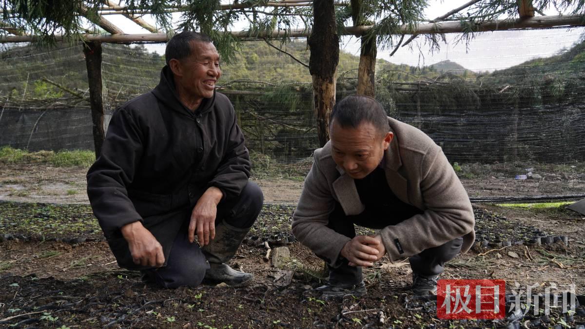 微信图片_20260424154214_525_9.jpg