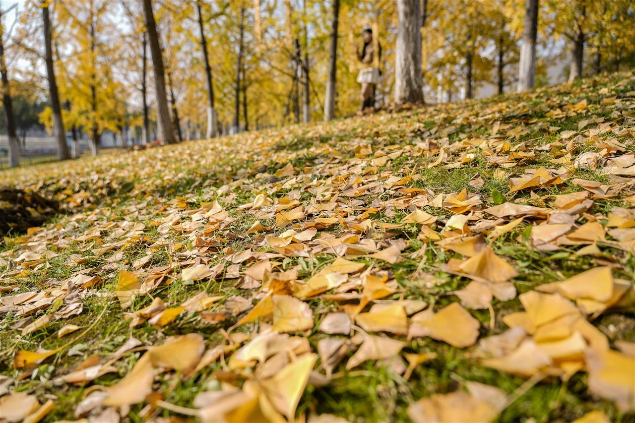 lh25111511.jpg lh25111511.jpg