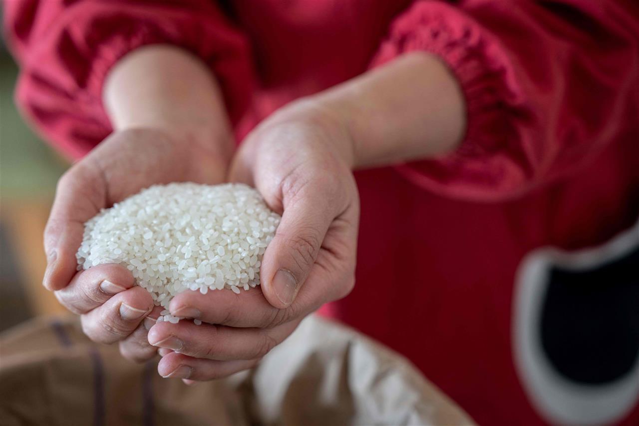 大米1.jpg 大米1.jpg