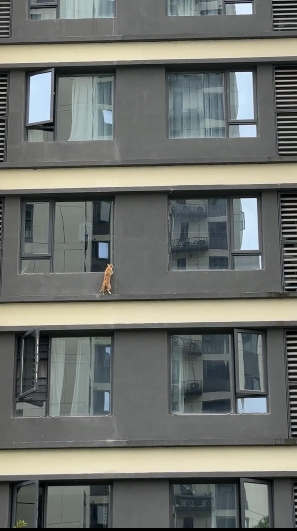 IMG_2950(20250704-175813).jpg IMG_2950(20250704-175813).jpg