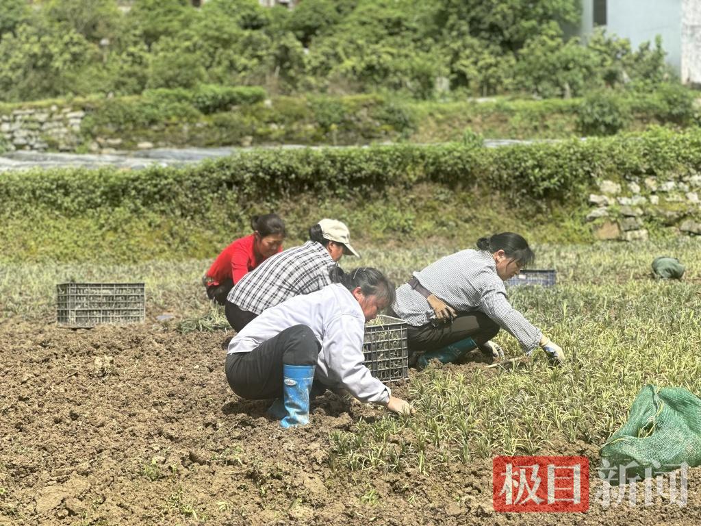 微信图片_20260427114543_66_52.png