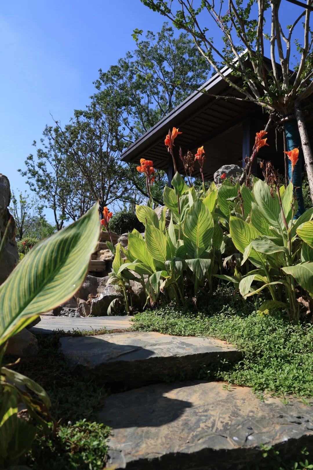 微信图片_20250725205203.jpg 微信图片_20250725205203.jpg