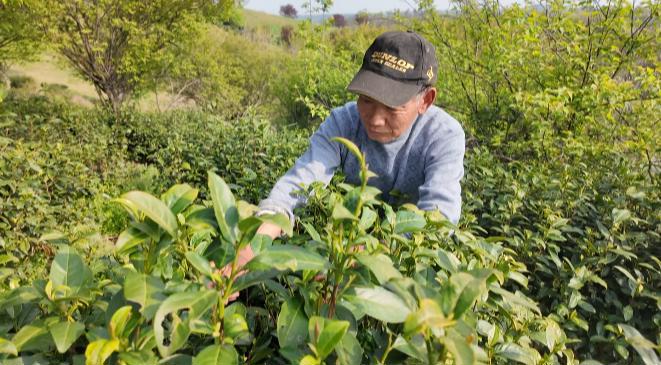 图片2.png 图片2.png