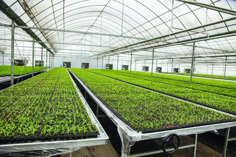 cb2026032415373376b6800460.jpg cb2026032415373376b6800460.jpg