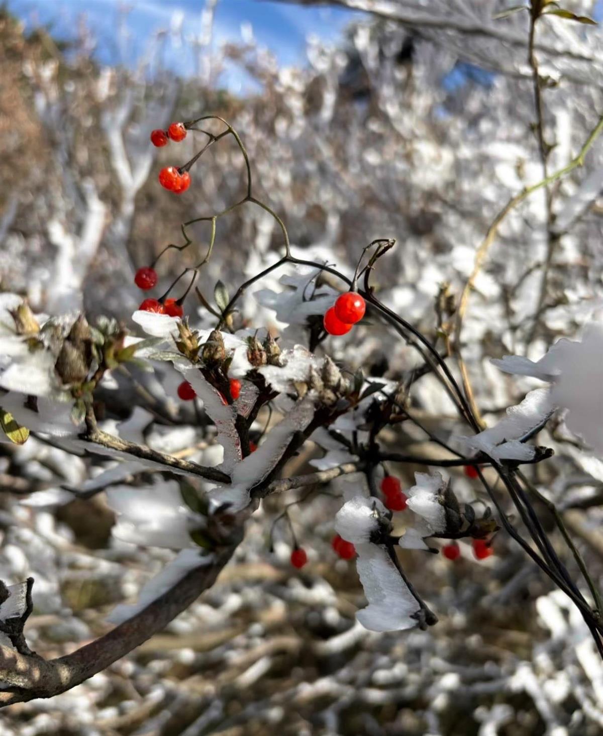 1DF1D6FBDBDA5F42CE02E4B81CCA171F.png 1DF1D6FBDBDA5F42CE02E4B81CCA171F.png