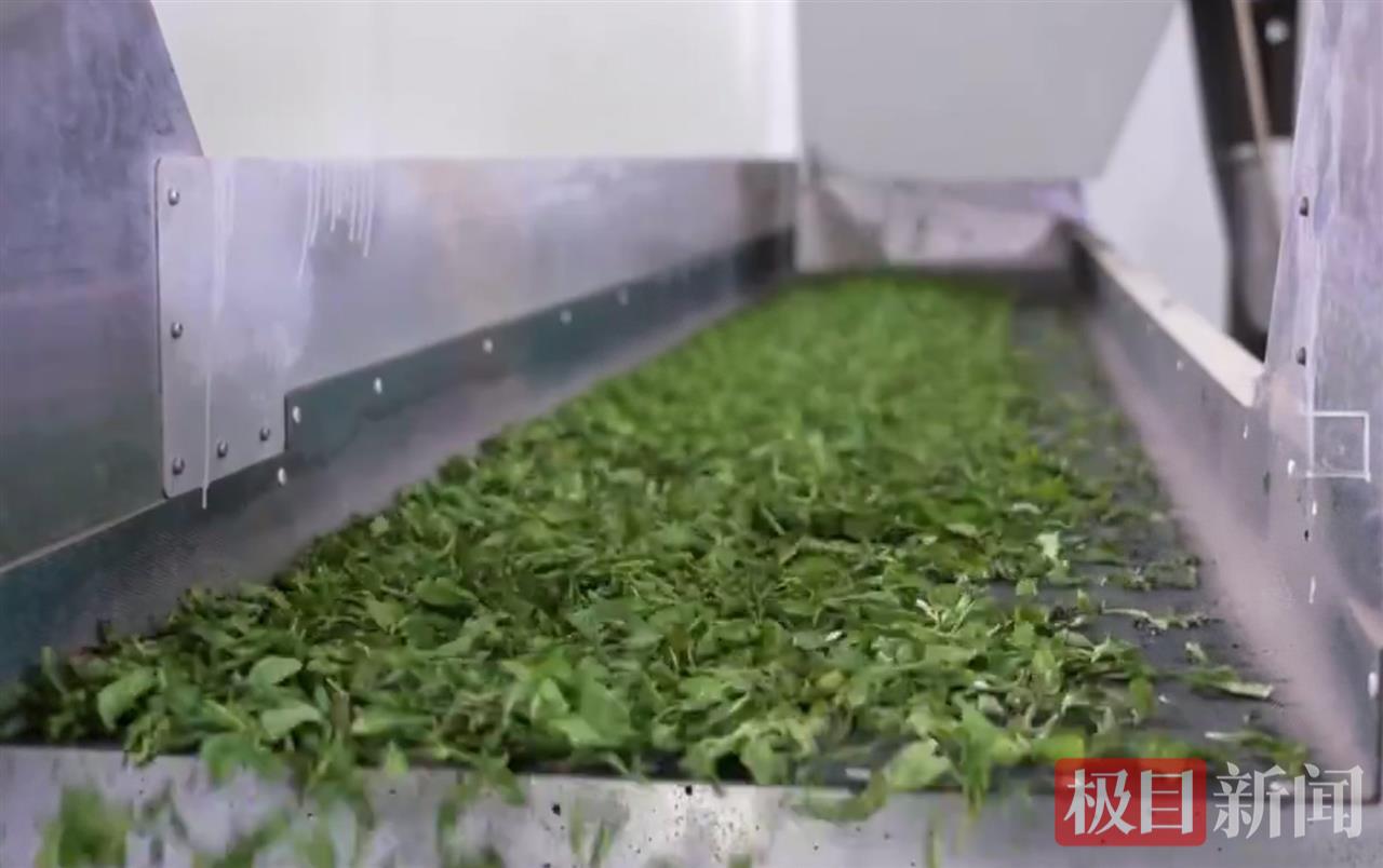 微信图片_20250618182819.jpg 微信图片_20250618182819.jpg