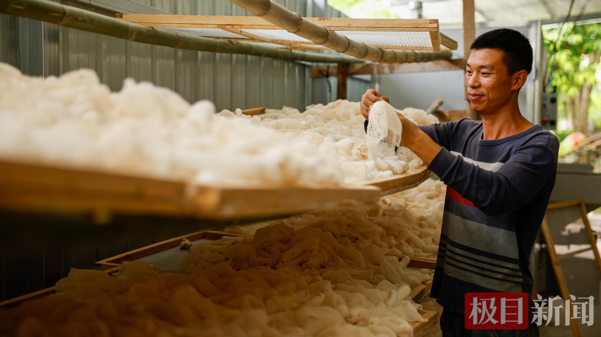 mmexport1750906498833.jpg mmexport1750906498833.jpg