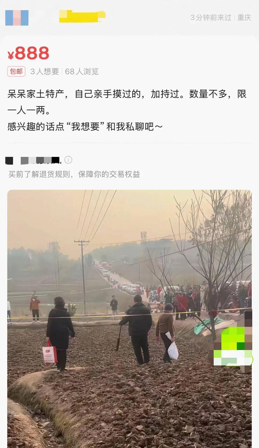 发财土背后的疯狂，高价售卖、不退不换，蹭流量行为触碰法律红线引热议