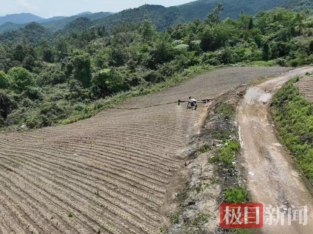 mmexport1750304592466.jpg mmexport1750304592466.jpg