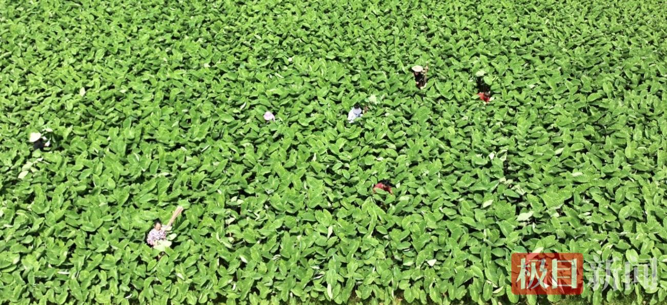 mmexportde5db1f4e76a8bbbca3b7795a6736cfb_1754913610452.jpeg mmexportde5db1f4e76a8bbbca3b7795a6736cfb_1754913610452.jpeg