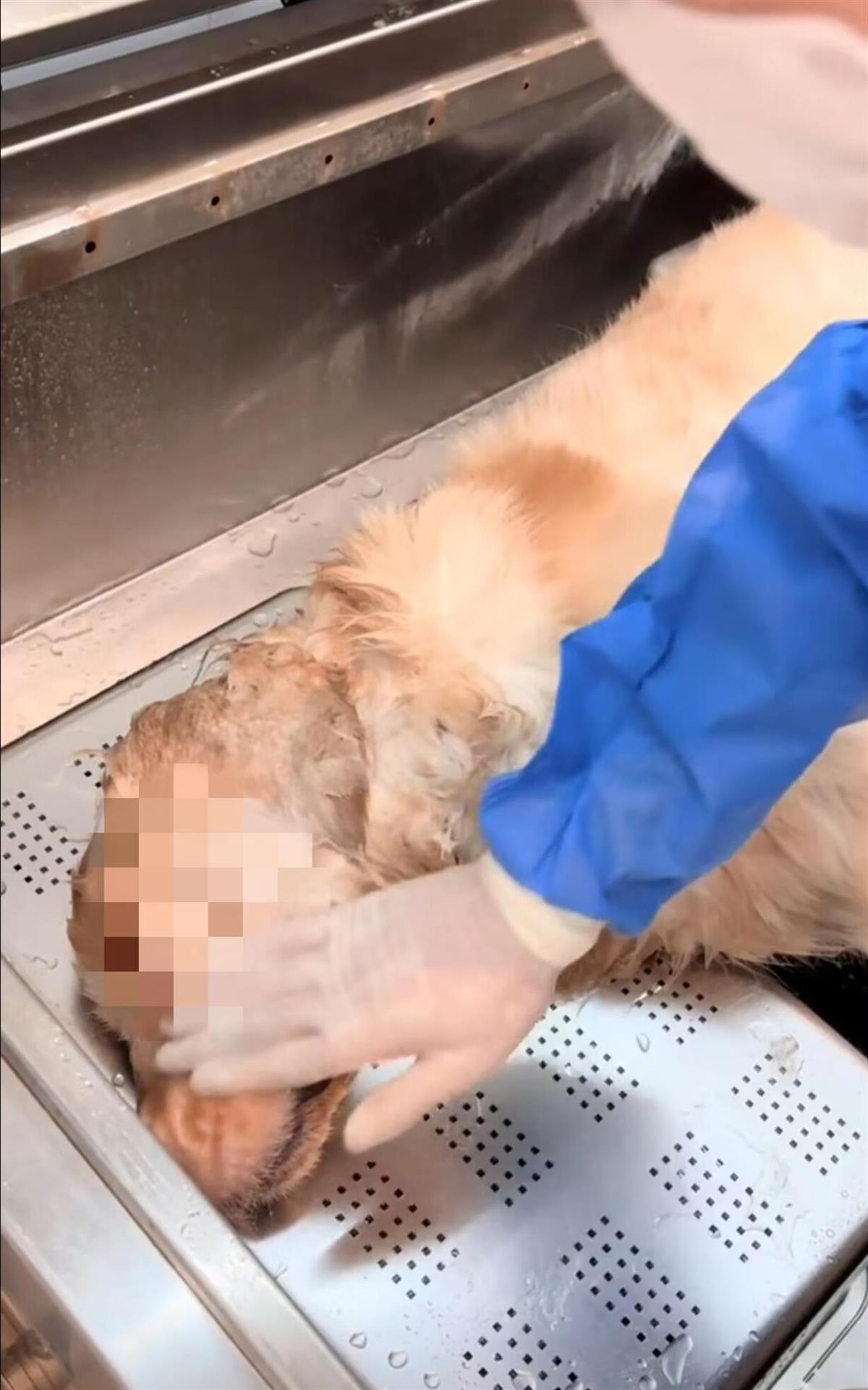 pub_cb2025070711461109416133re_edit.jpg pub_cb2025070711461109416133re_edit.jpg