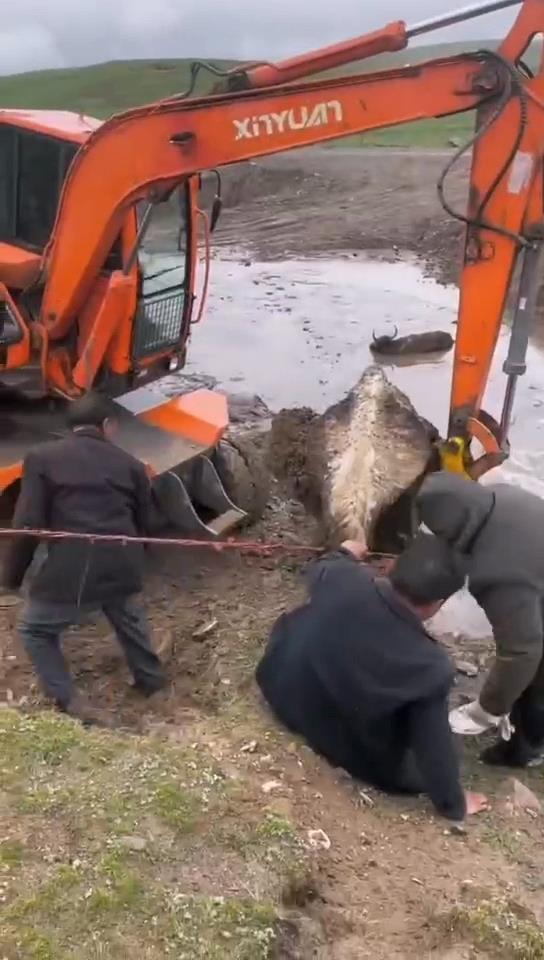 WechatIMG1022.jpeg WechatIMG1022.jpeg