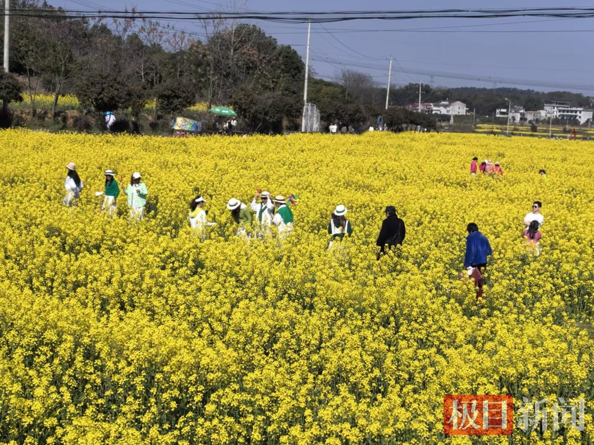 0912E90746EE3E210AA4E16FD7375089.jpg 0912E90746EE3E210AA4E16FD7375089.jpg