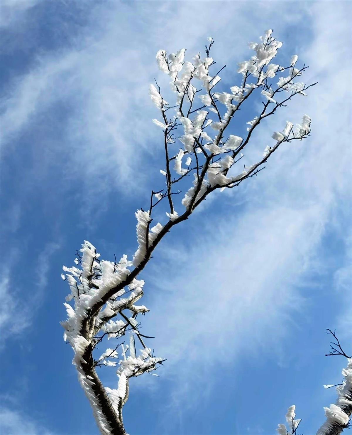 29E9A7BFBA4D40BC2716754034AFB9E1.png 29E9A7BFBA4D40BC2716754034AFB9E1.png