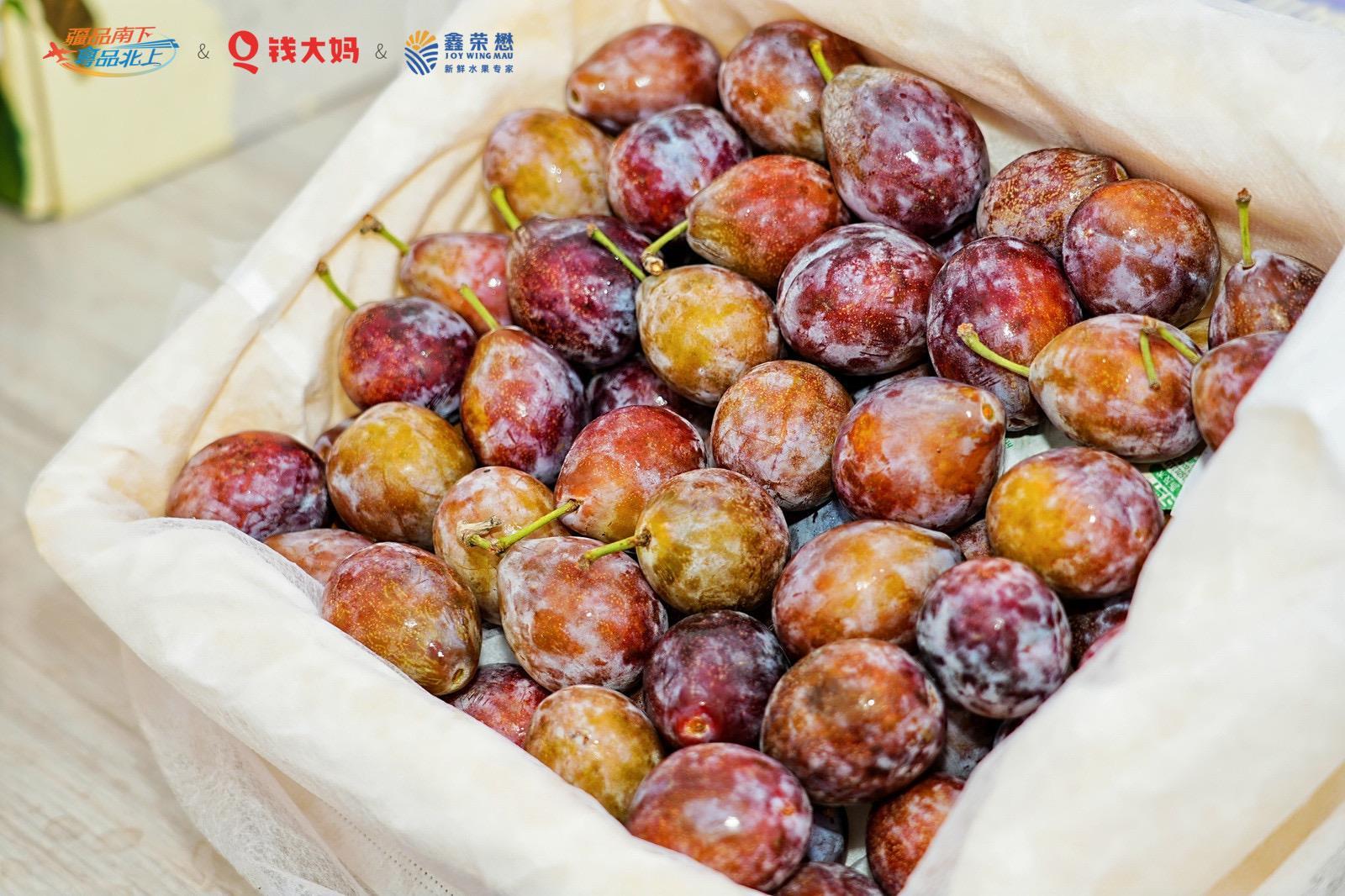 6a0f8190300805afc92c3d03e4a819cf.png 6a0f8190300805afc92c3d03e4a819cf.png