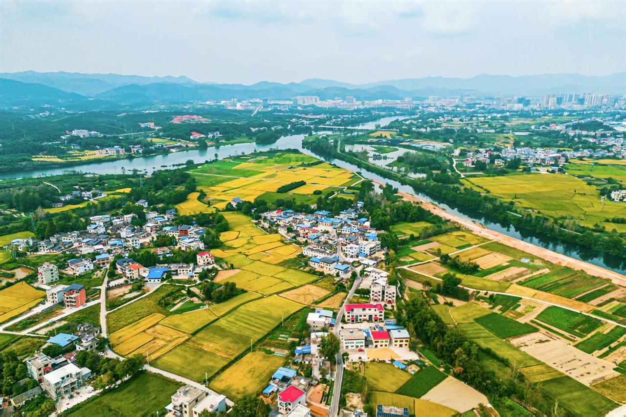 1747880157789.jpg 1747880157789.jpg