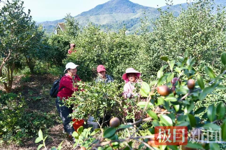 279F502056337CBDF4672076CF0EE186.jpg 279F502056337CBDF4672076CF0EE186.jpg