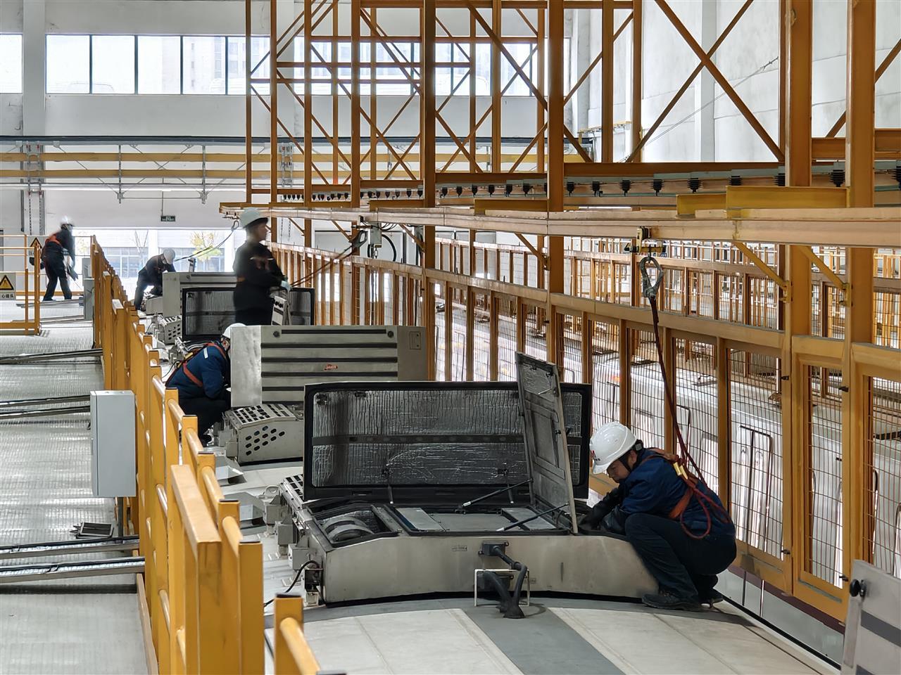 IMG_8946.jpeg IMG_8946.jpeg