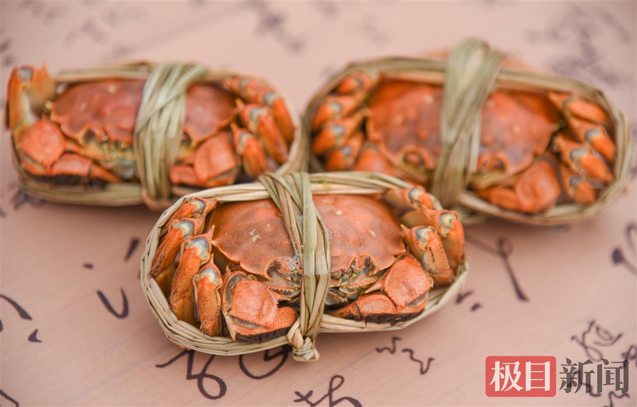 10月8日，“生态公安·蟹耀未来”湖北·公安2025陆逊湖大闸蟹品牌推介会现场展示的陆逊湖大闸蟹（极目新闻记者 黄志刚 摄） (2).jpg