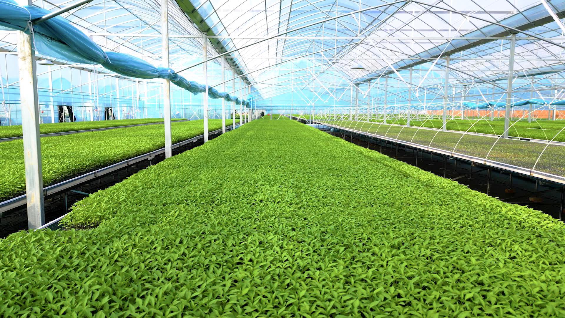 1861b3f5c924414d0fffb3832ceedc32.jpeg 1861b3f5c924414d0fffb3832ceedc32.jpeg