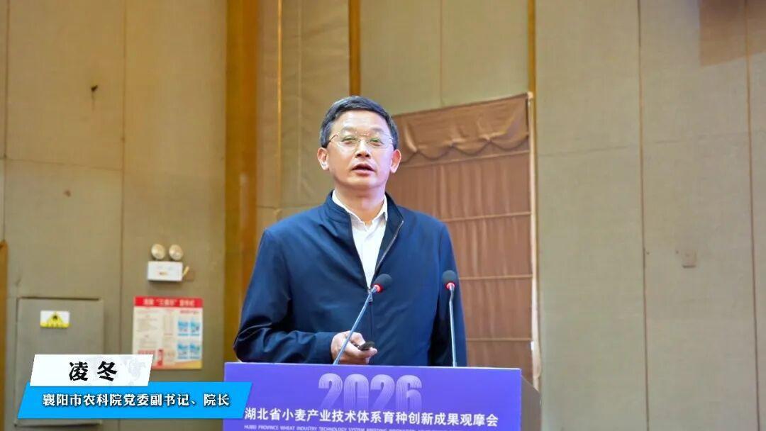 图片13.png 图片13.png