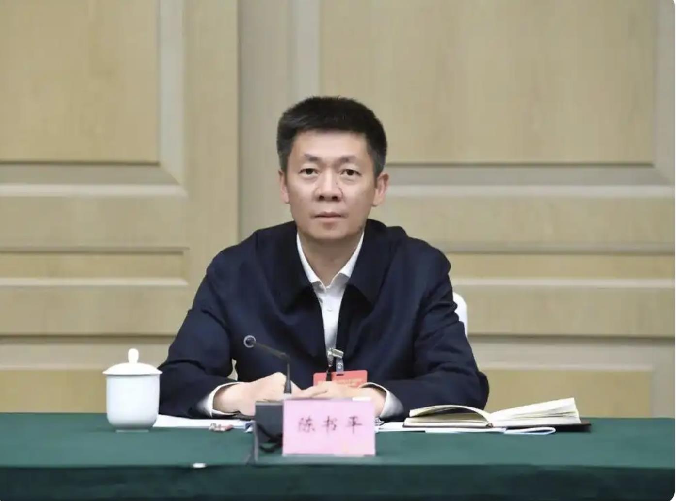 陈书平.png 陈书平.png